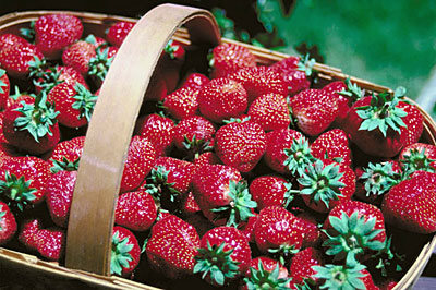 Growing Strawberries In Hanging Baskets